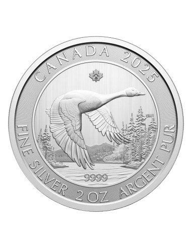 Moneda de Plata 2 oz Canada Goose 2025 | Royal Canadian Mint