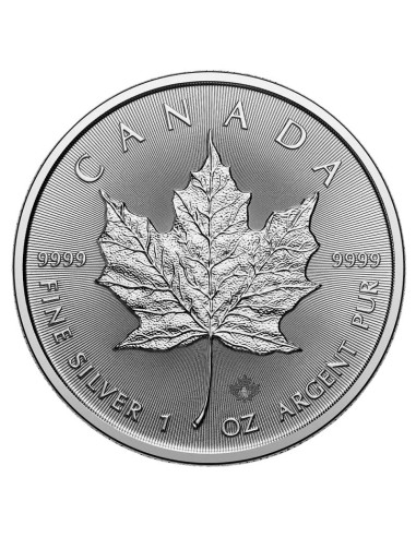 Moneda de Plata 1 oz Maple Leaf 2025 | Royal Canadian Mint